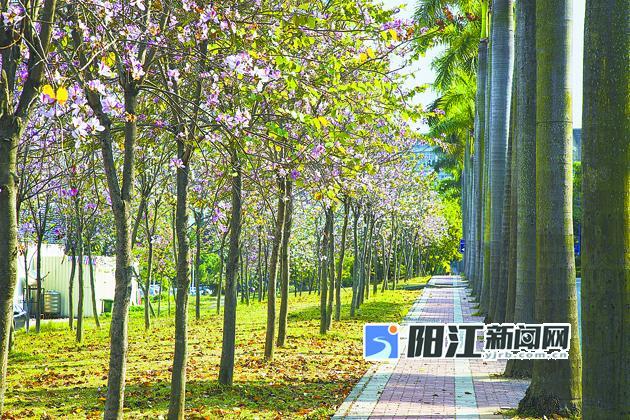 石家庄市城市园林绿化管理条例