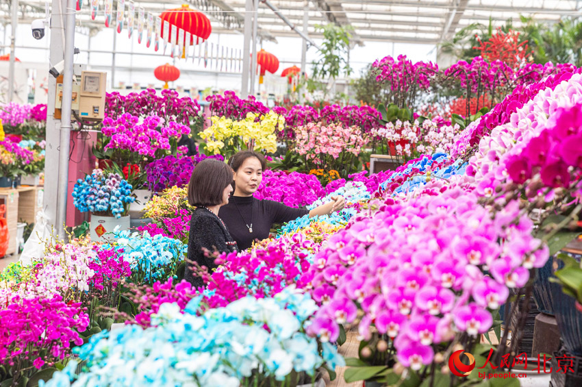 为首都花园城市添“花样”